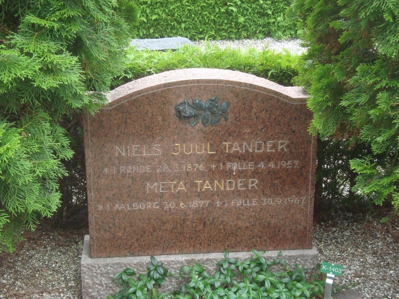 Meta Tander.JPG